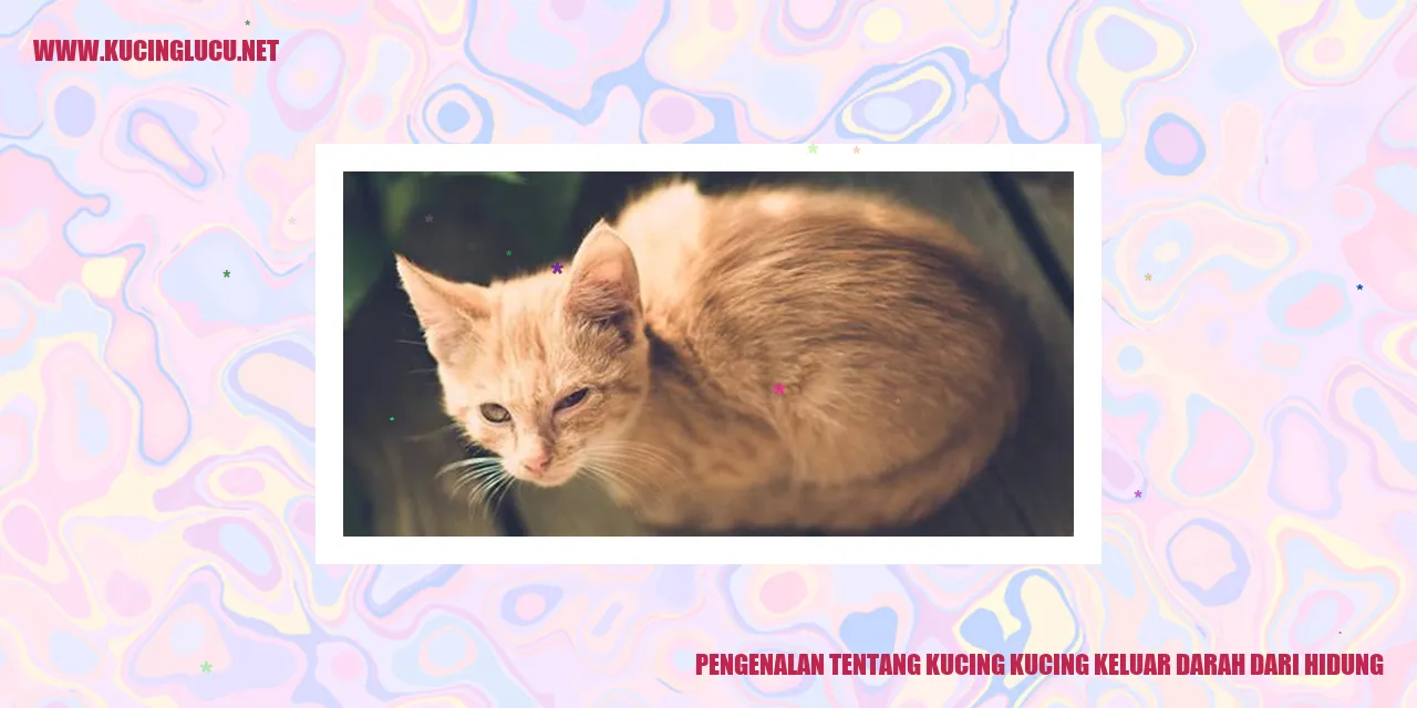 Gambar Kucing dengan Hidung Berdarah