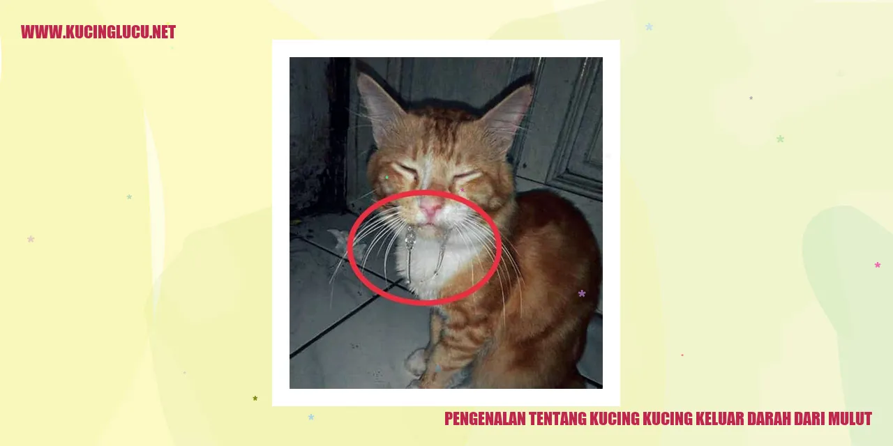 Gambar Kucing