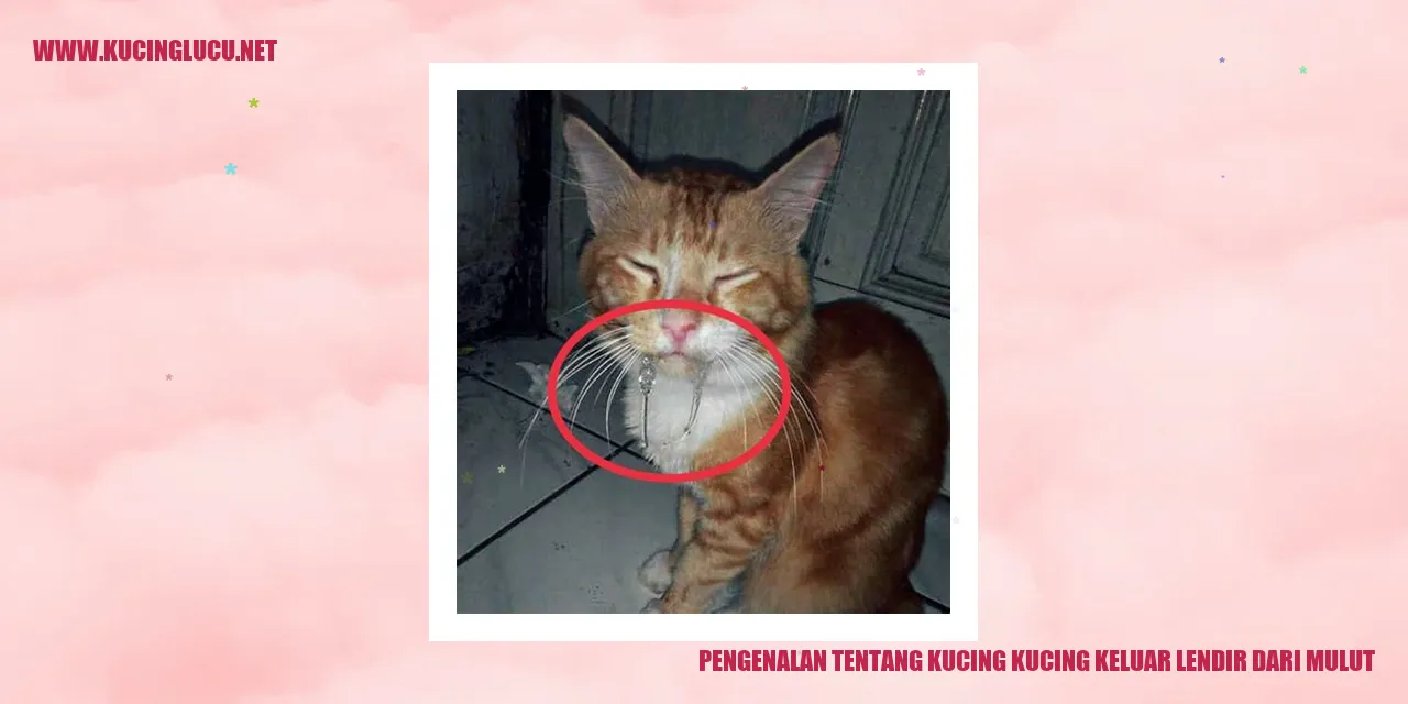 Gambar Kucing Menyemprotkan Lendir dari Mulut