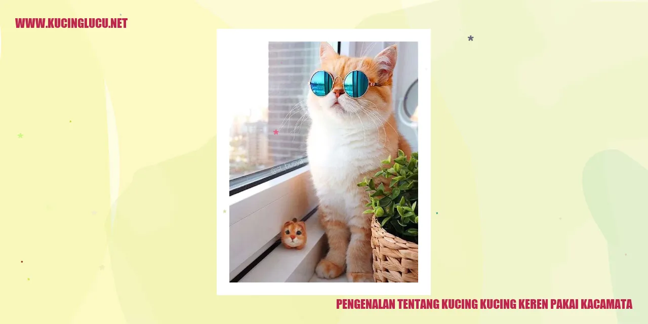 Gambar Kucing Keren Pakai Kacamata