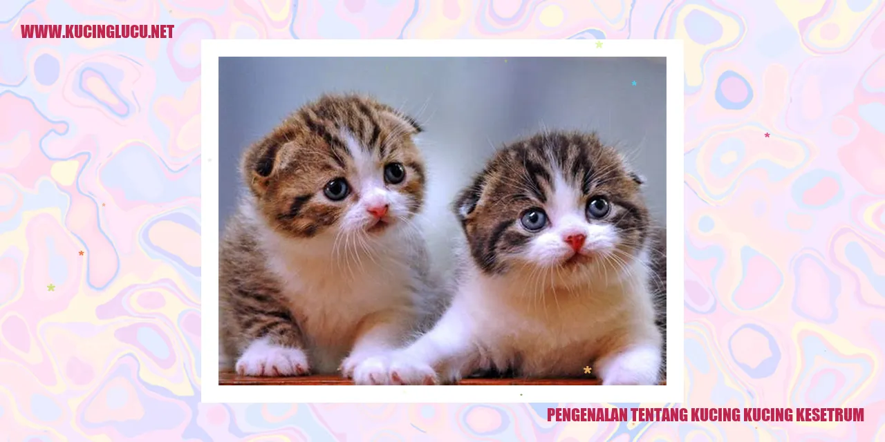 Gambar Kucing Kesetrum