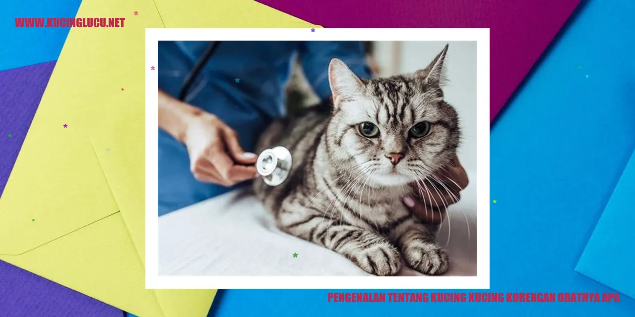 Gambar Kucing Korengan