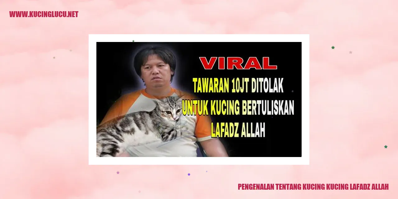 Gambar Kucing yang Menggemaskan