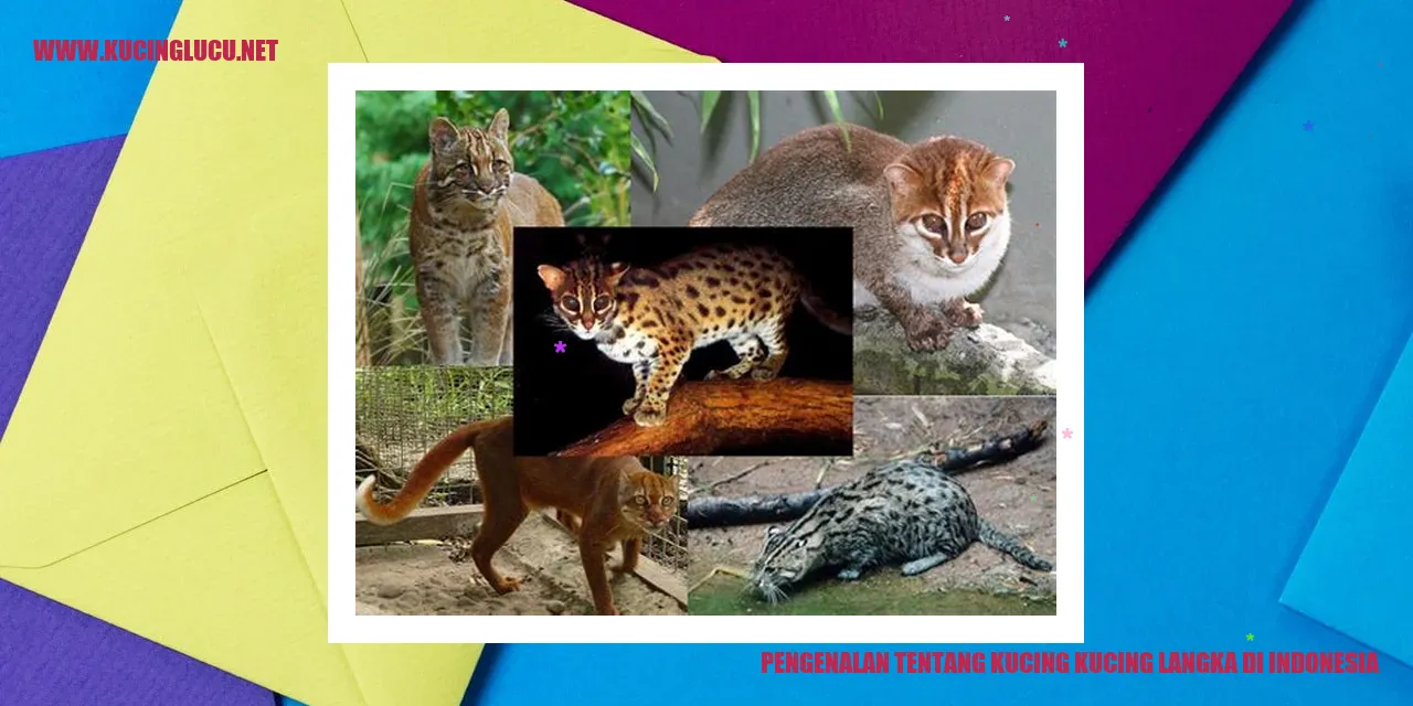 Kucing-kucing langka di Indonesia