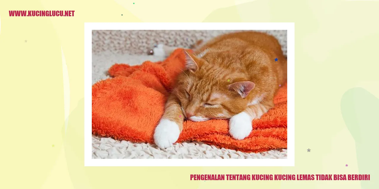 kucing lemas