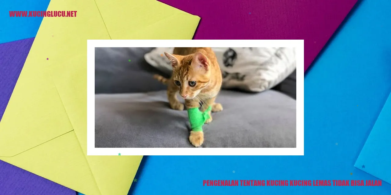 Kucing lemas tidak bisa jalan