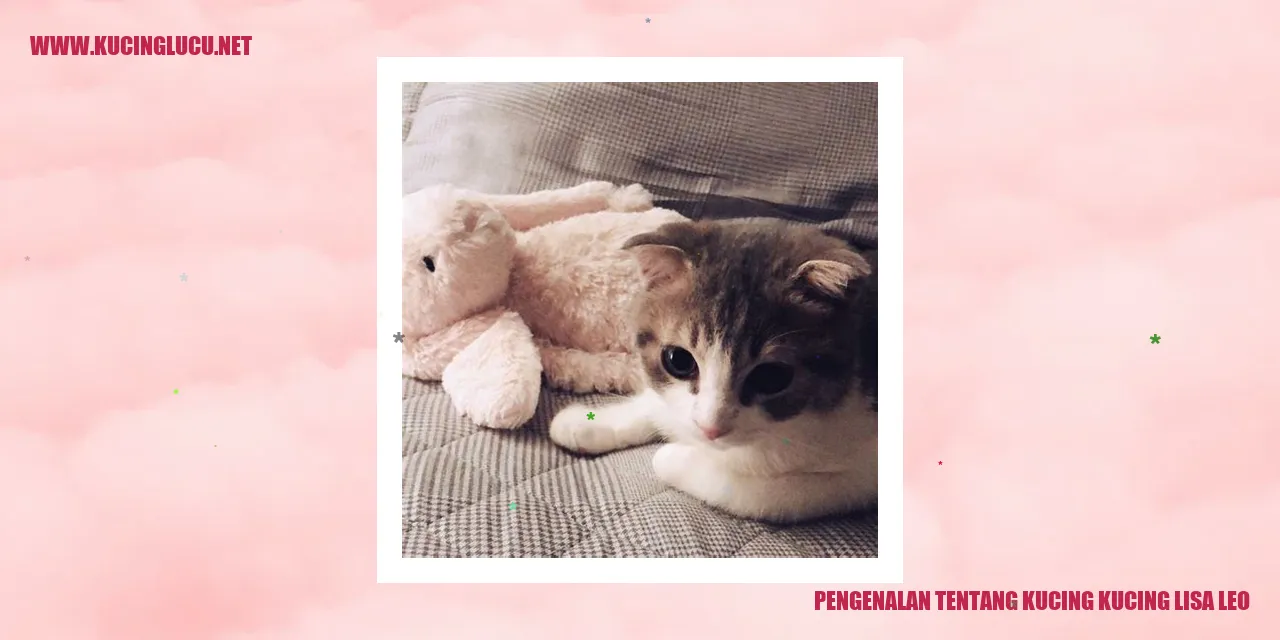 Gambar Kucing Lisa dan Leo