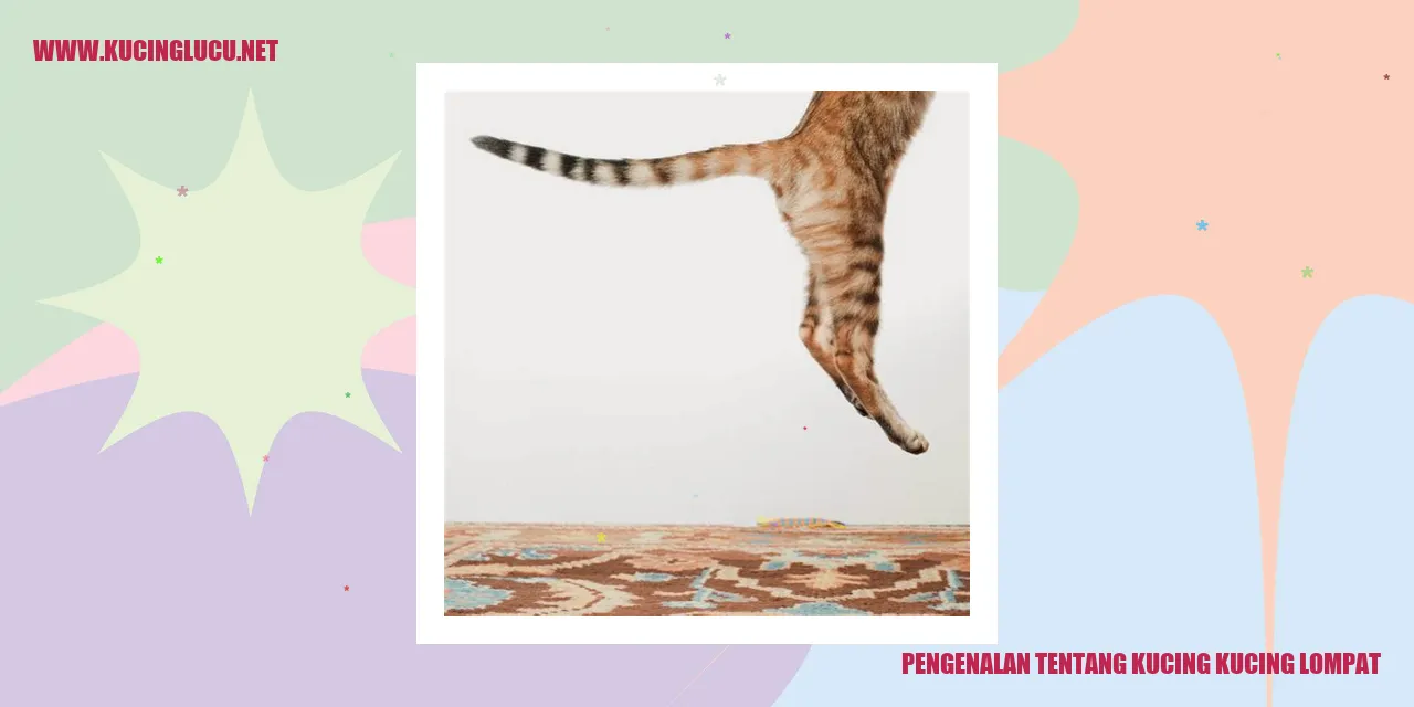 gambar kucing lompat