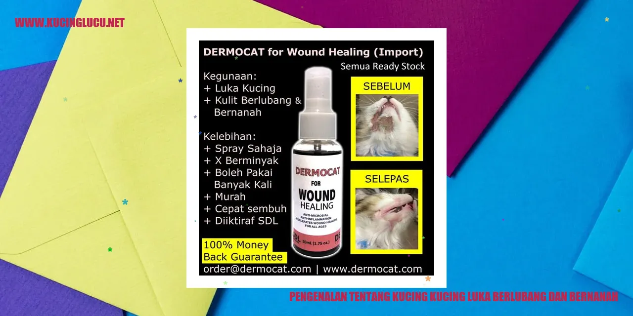 Gambar kucing dengan luka berlubang dan bernanah