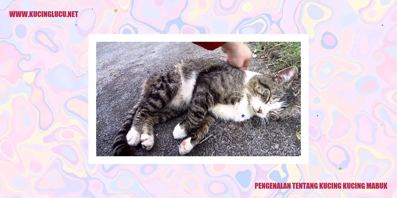 Gambar: Kucing-Kucing Kenal Minuman Keras