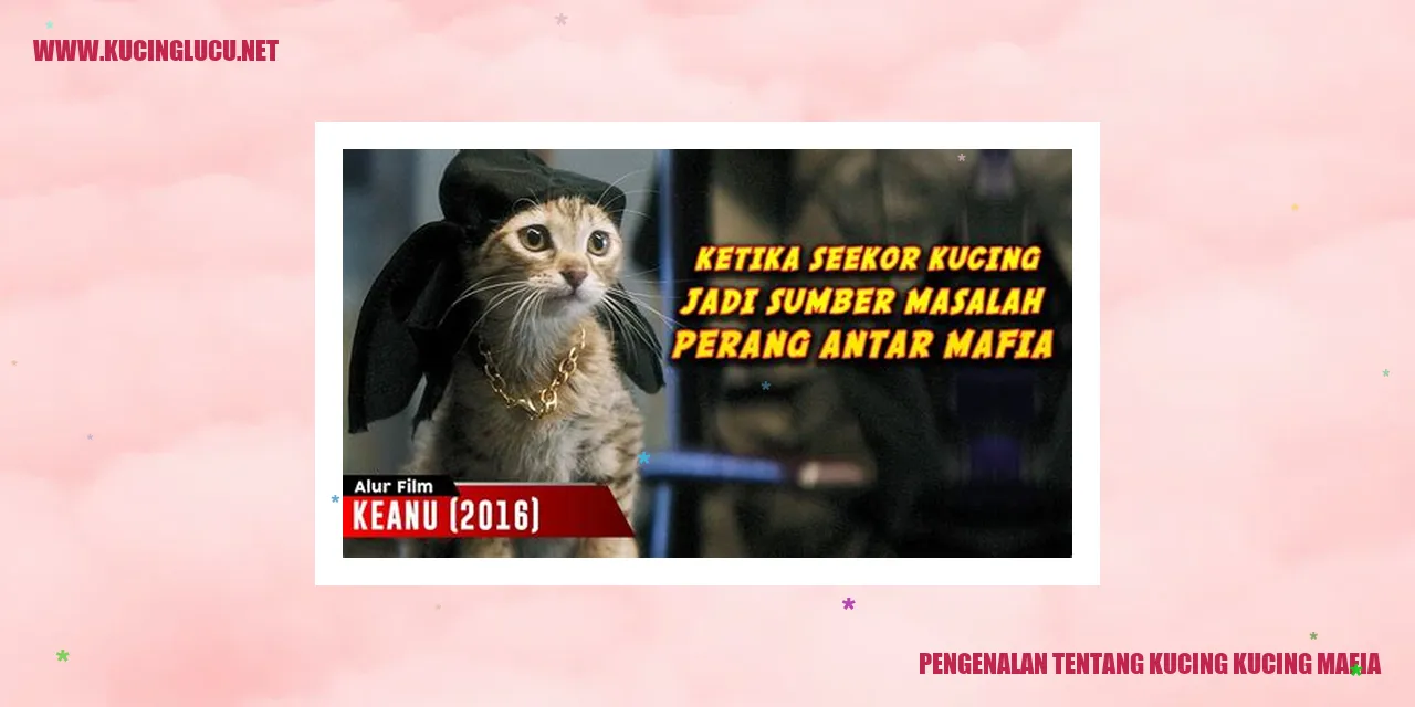 Gambar Kucing Kucing Mafia