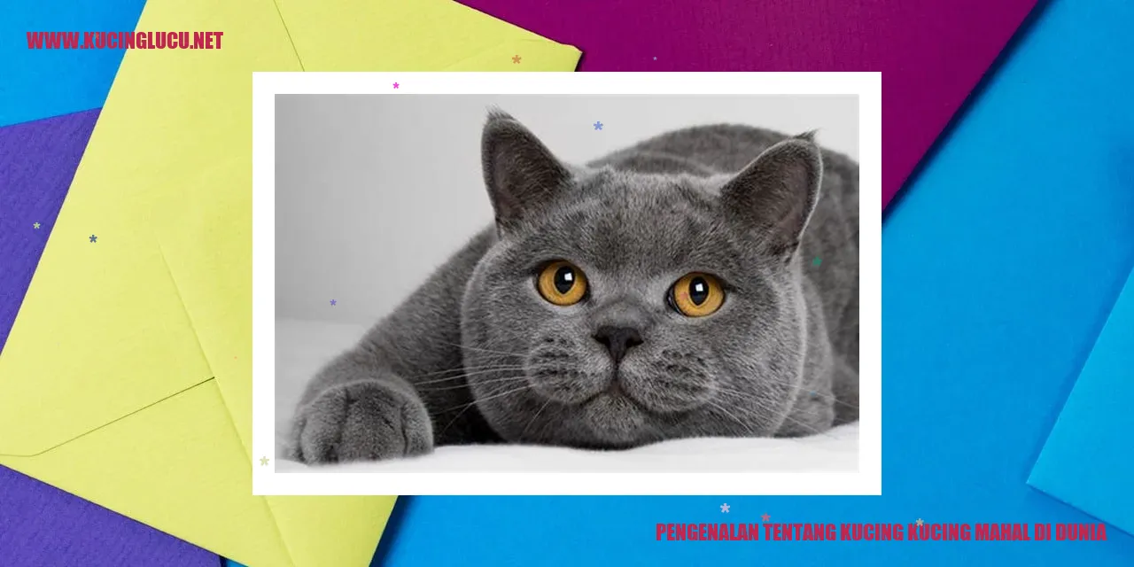 Gambar Kucing-kucing Mahal di Dunia