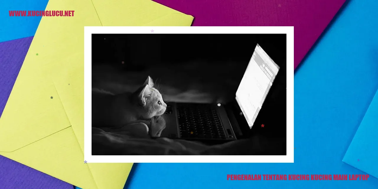 Gambar kucing main laptop