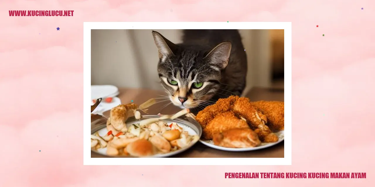 Gambar Kucing yang Menyukai Makanan Ayam