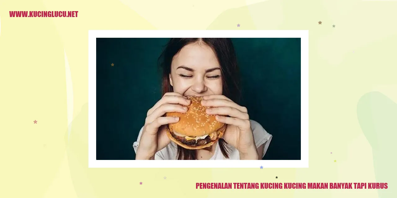 Gambar Kucing