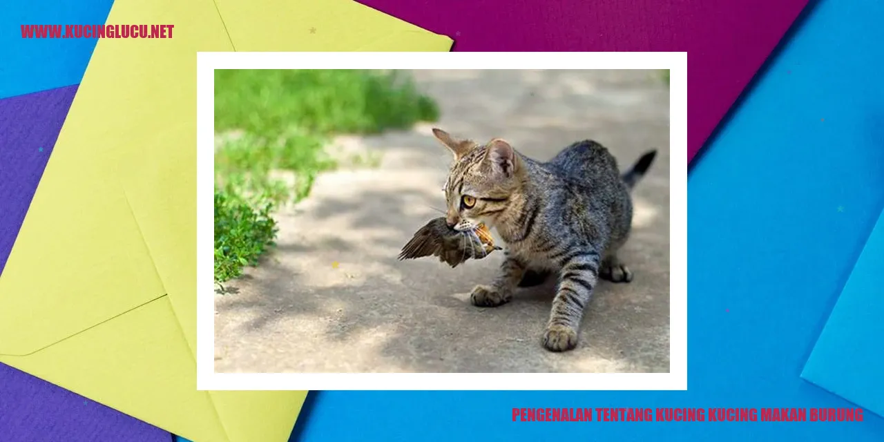 Gambar Kucing yang Memakan Burung
