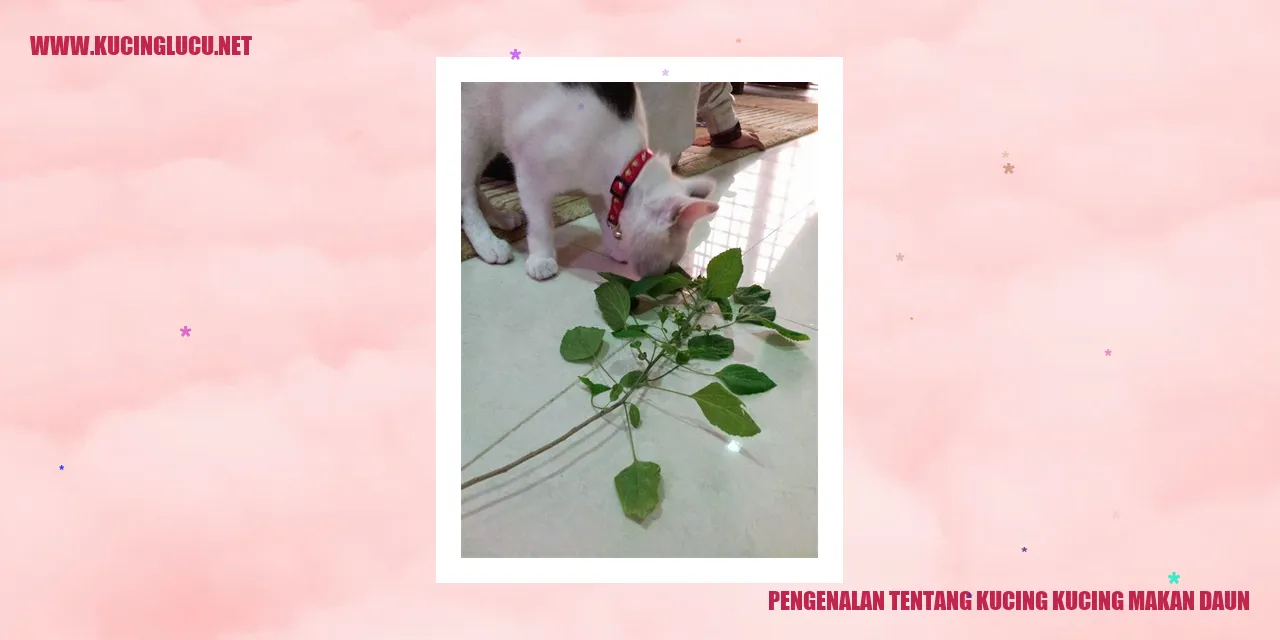 Gambar kucing yang sedang makan daun