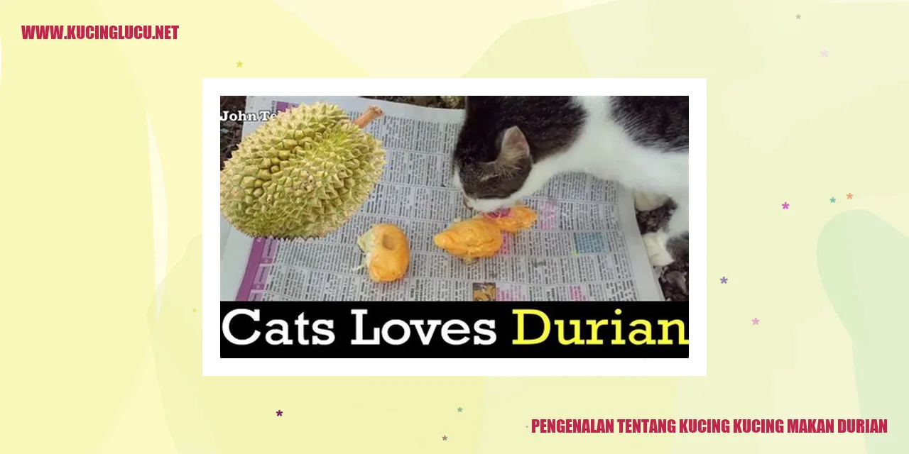 Kucing makan durian