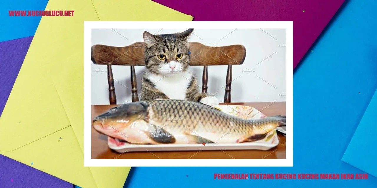 Ilustrasi Kucing