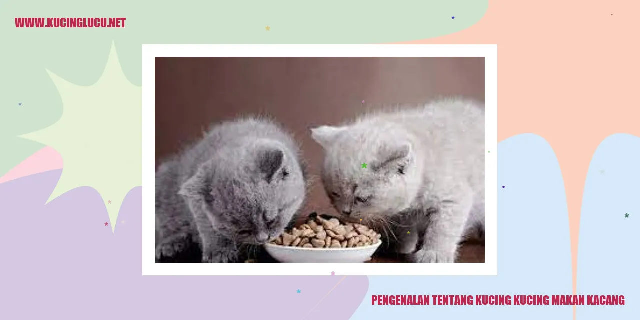 Gambar Kucing yang Gemar Makan Kacang