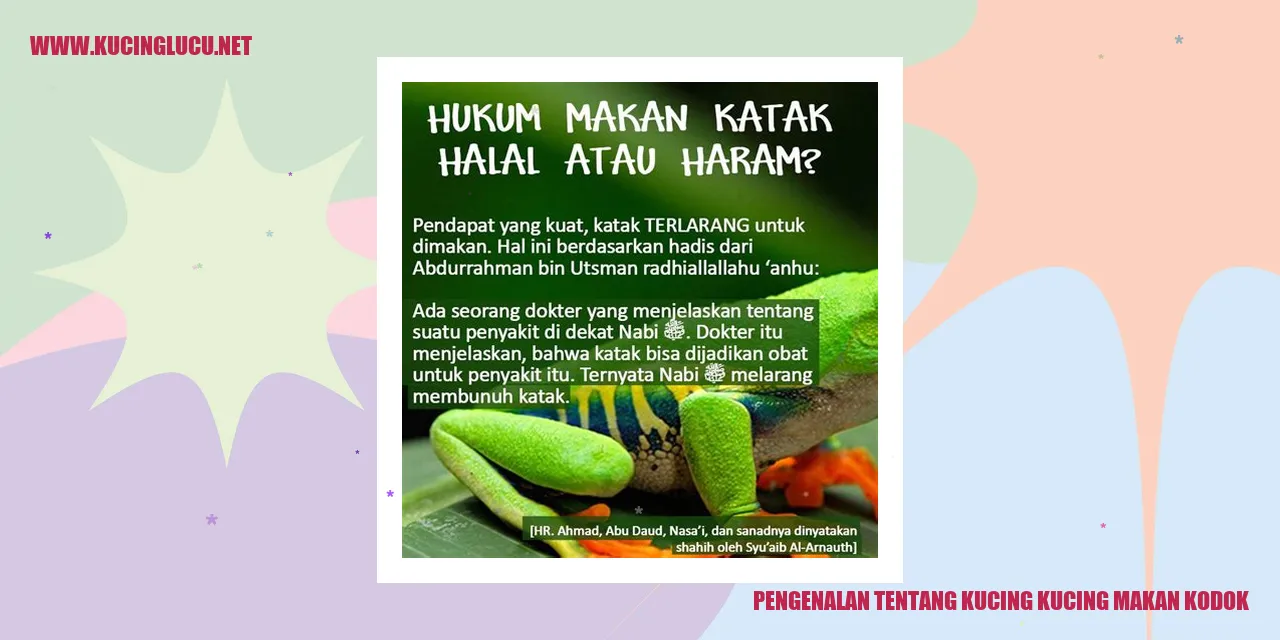 Gambar Kucing Makan Kodok