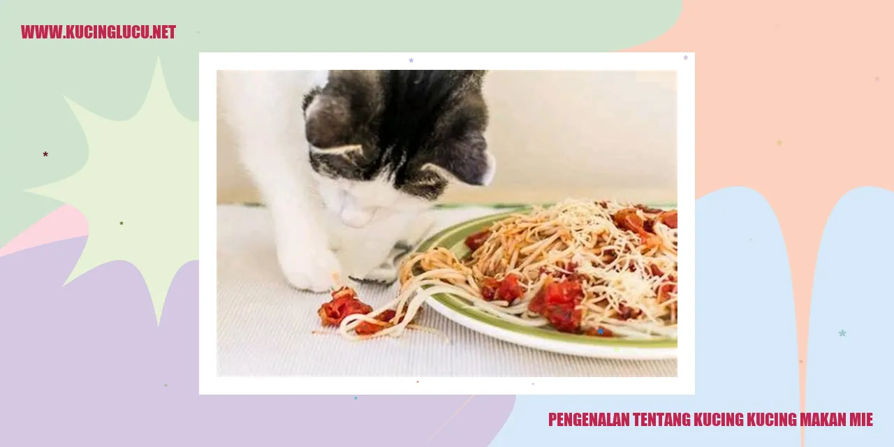 Gambar kucing makan mie
