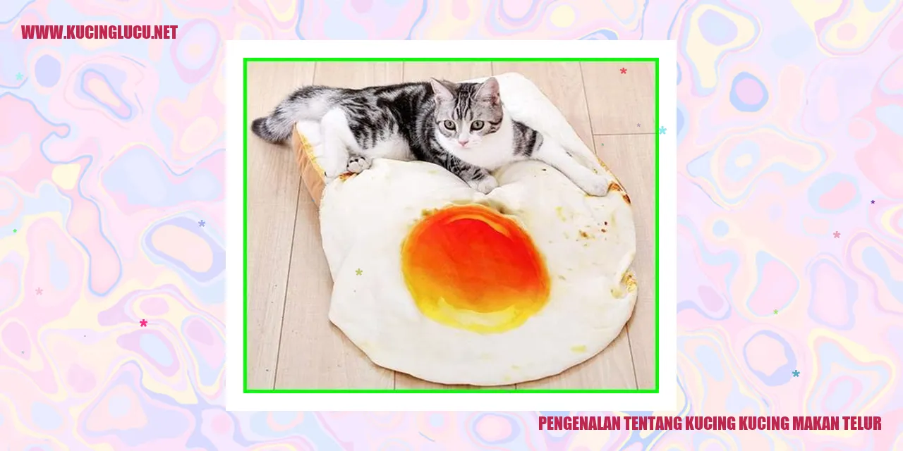 Gambar Kucing Menikmati Telur