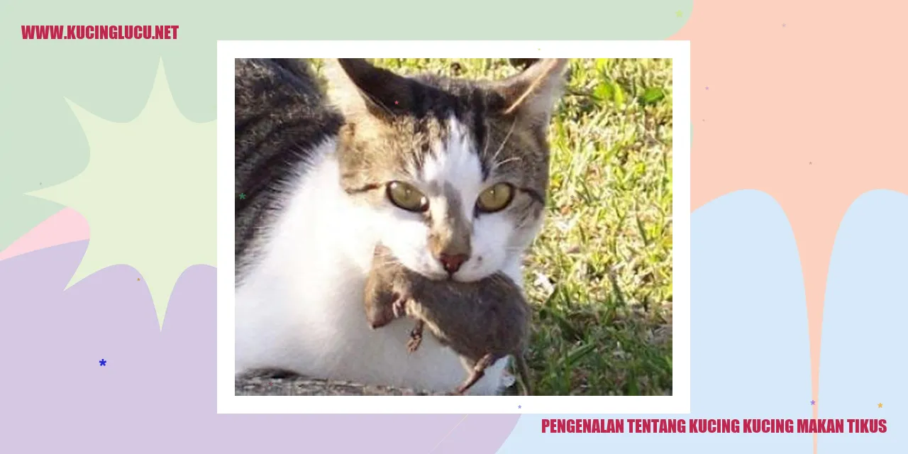 Kucing Makan Tikus