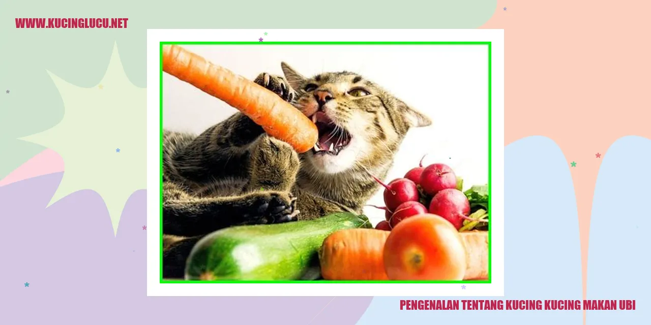 Gambar Kucing yang Menyukai Ubi