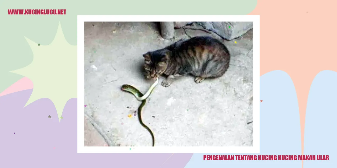 Ilustrasi kucing menangkap ular