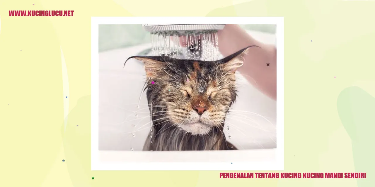 Gambar Kucing Mandi Sendiri