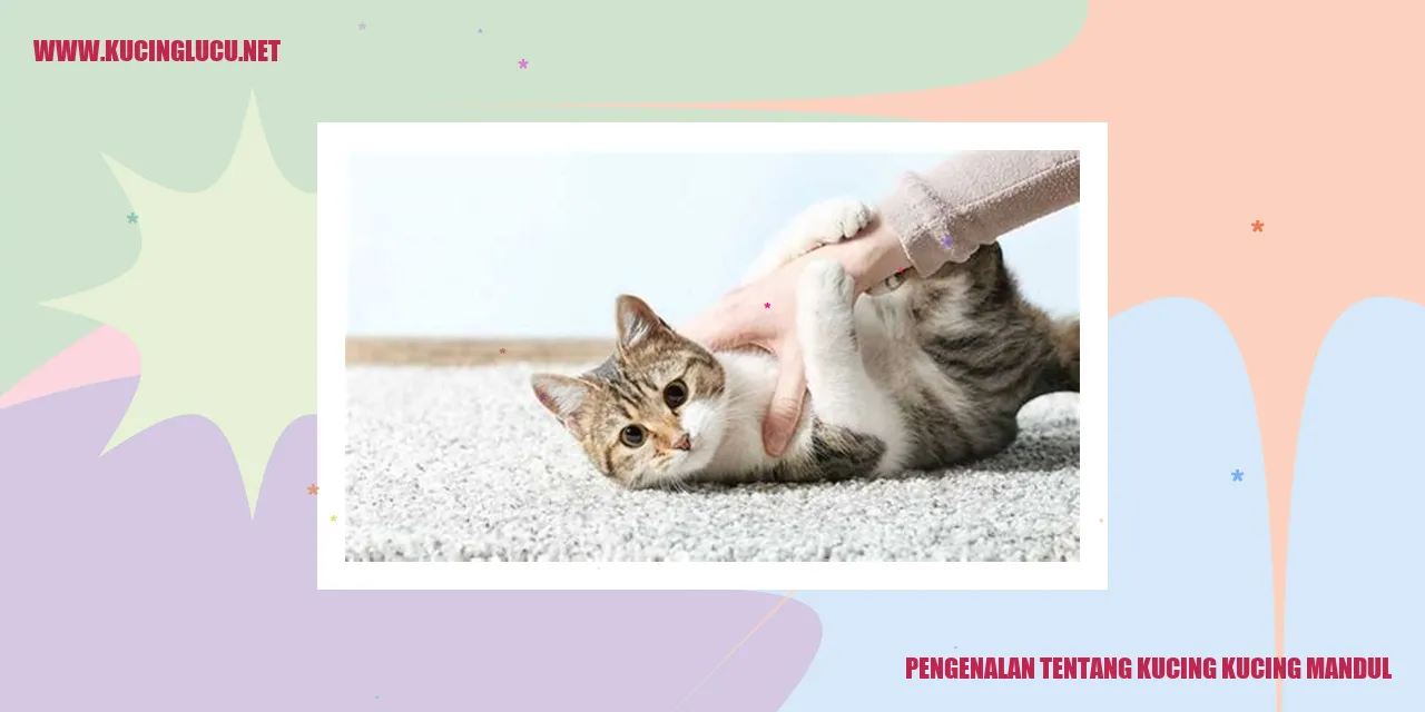 Gambar Kucing Mandul