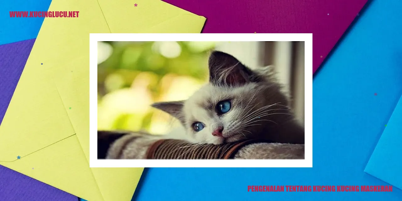 Kucing Maskeran