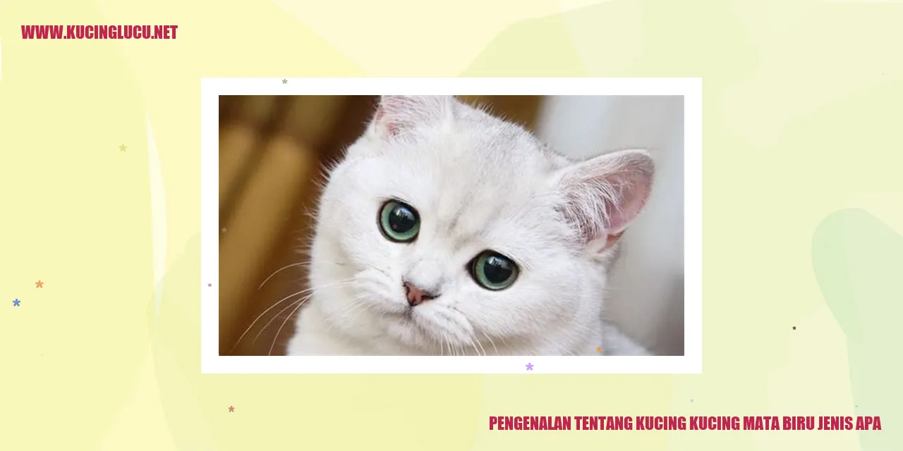 Kucing Mata Biru