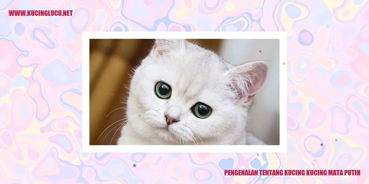 Gambar Kucing Mata Putih yang Cantik