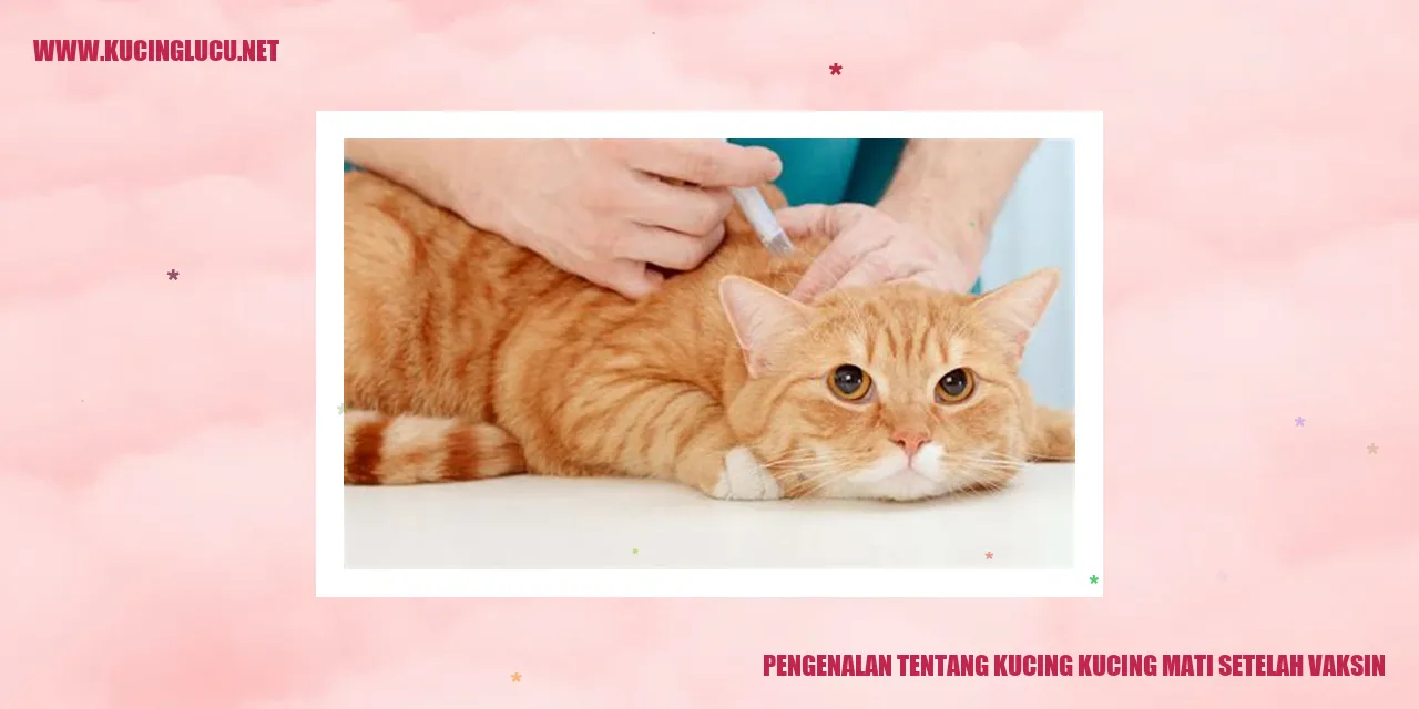 Ilustrasi Kucing