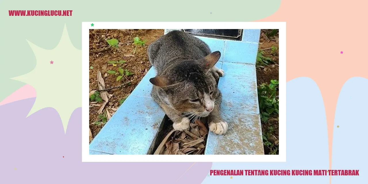 Ilustrasi Kucing Mati Tertabrak