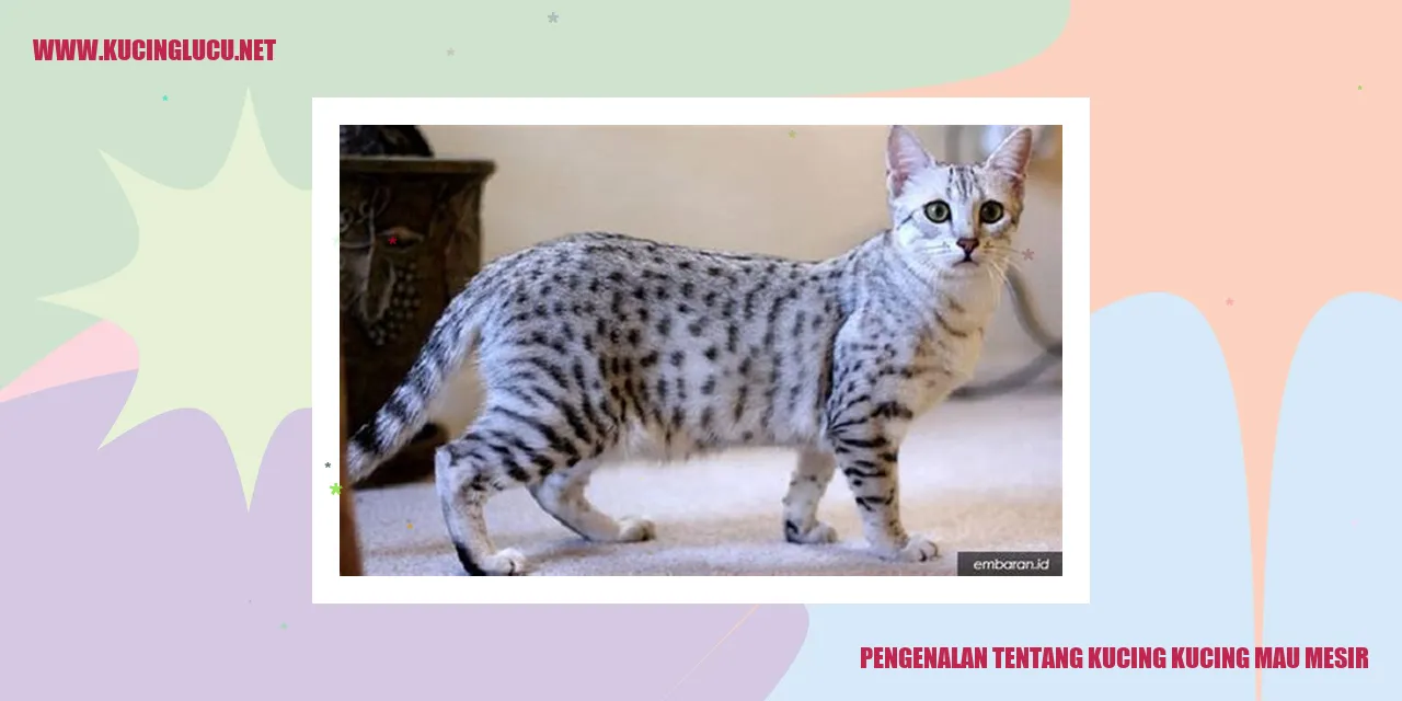 Gambar Kucing Mesir