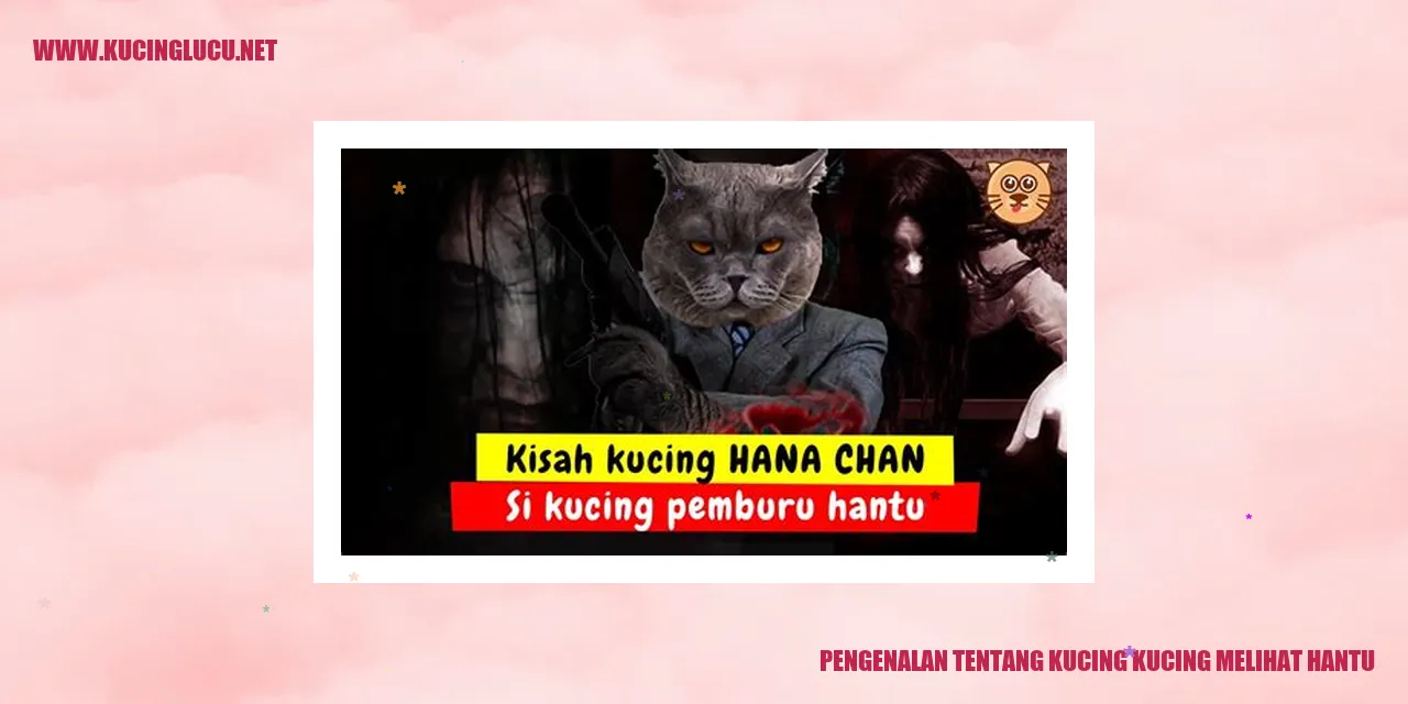 Kucing melihat hantu
