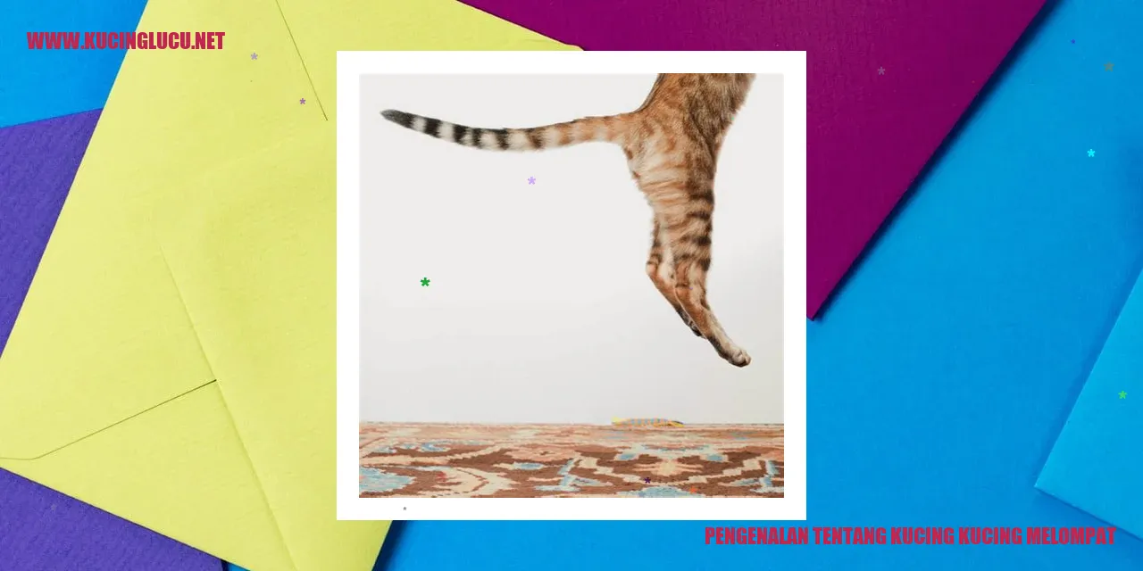Kucing Melompat