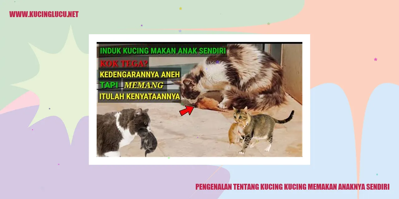 Ilustrasi Kucing dan Anaknya
