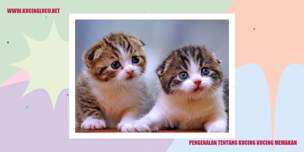 Kucing yang menggemaskan