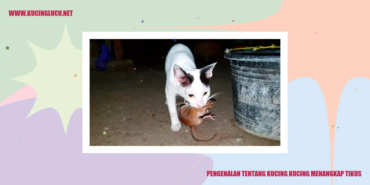 Gambar kucing menangkap tikus