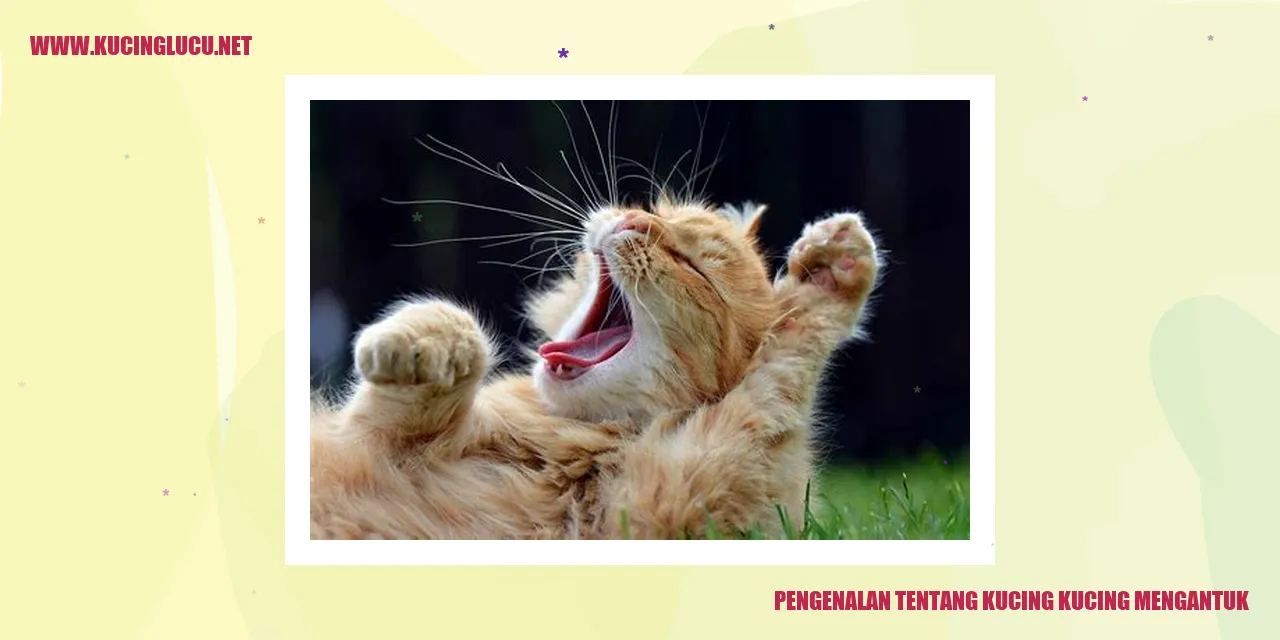 Kucing Mengantuk