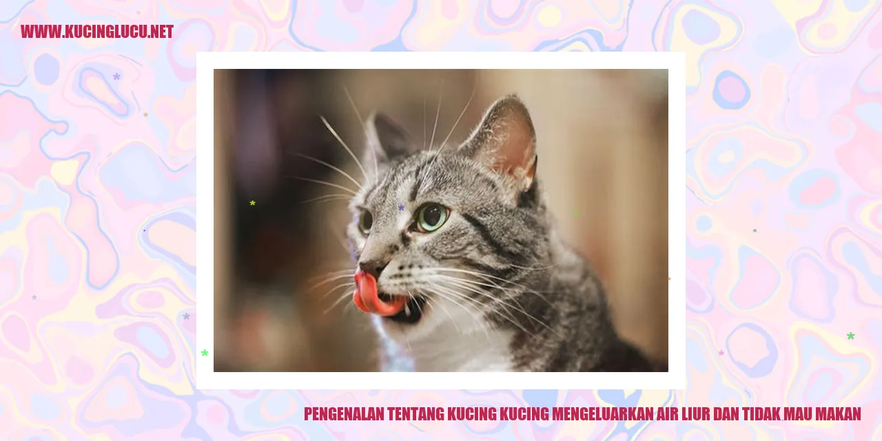 Gambar kucing mengeluarkan air liur dan tidak mau makan