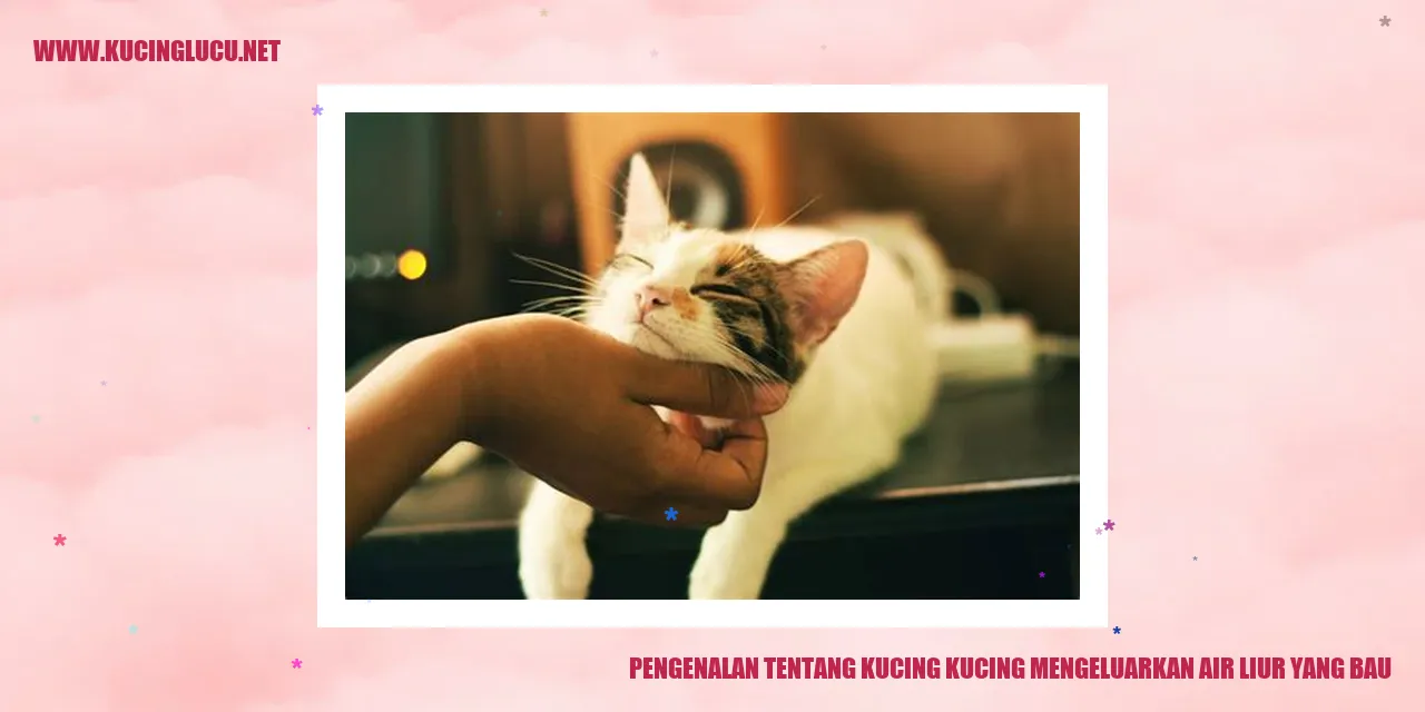 Kucing Mengeluarkan Air Liur dengan Bau Khas