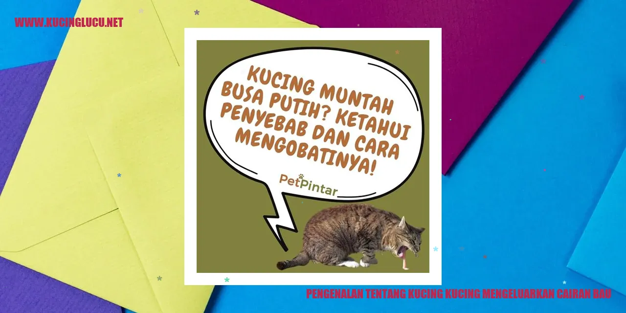 Kucing