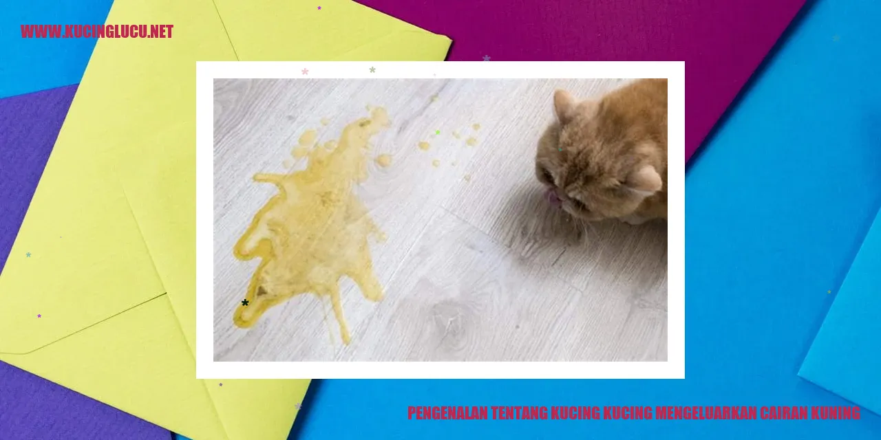 Kucing mengeluarkan cairan kuning
