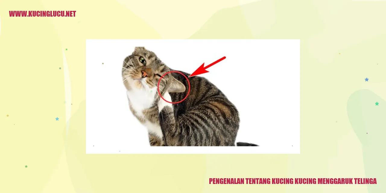 Kucing menggaruk telinga