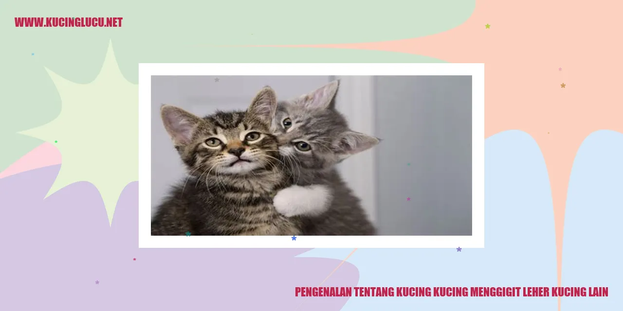 Kucing Menggigit Leher Kucing Lain